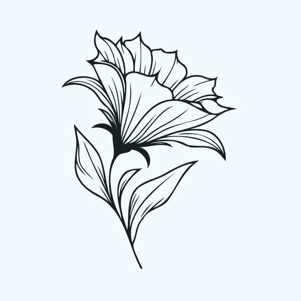 A black and white drawing of a flower, bluebell. Hand painted flower. Graphic campanula isolated on background. Botanical and wedding illustration. For designers, invitations, decoration, postcards vector