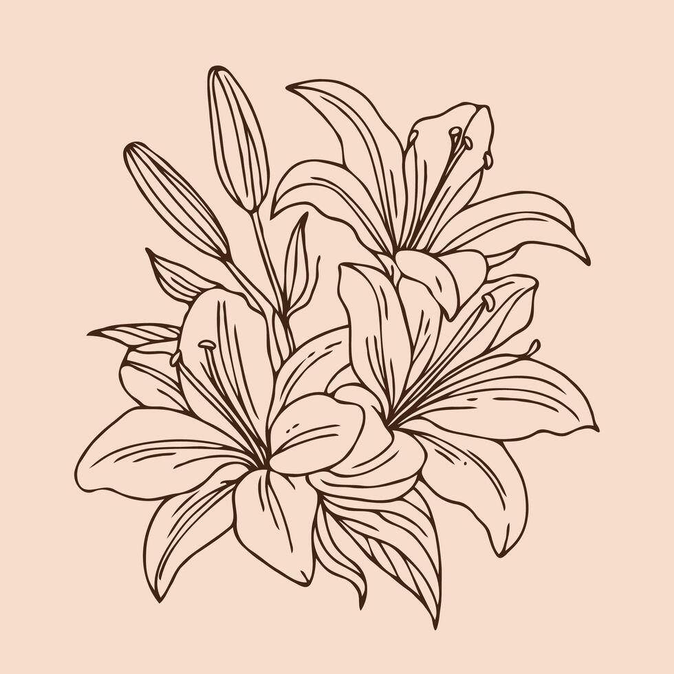 A drawing of lilies on a beige background, isolated hand drawn outline lily flower vector