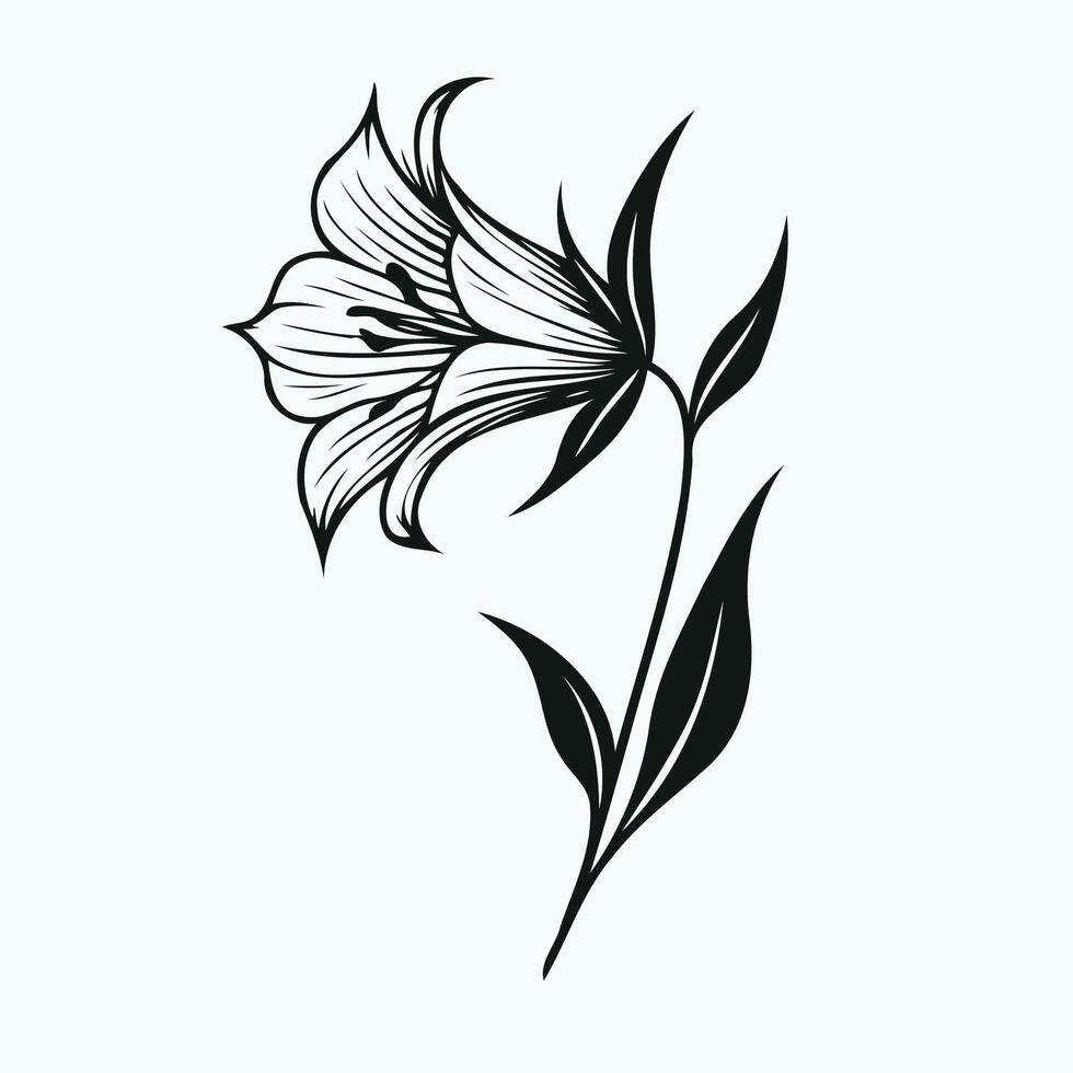 A black and white drawing of a flower, bluebell flowers in hand drawn style illustration. isolated. Doodle. Plants in black and white. vector