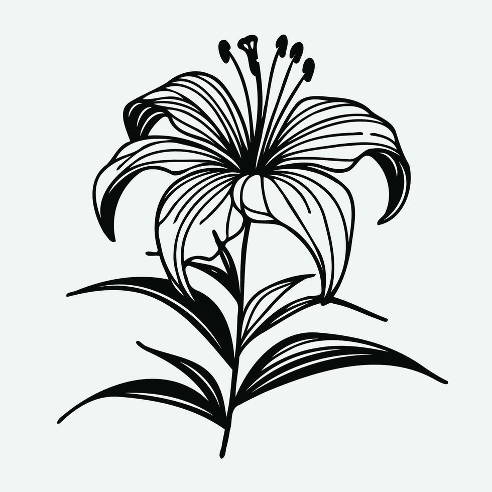 A black and white drawing of a lily, Abstract Flower Lily one line art drawing singular aesthetic minimalist , one line art, line art, icon, logo vector
