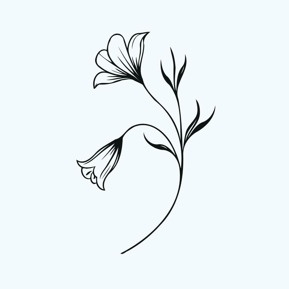 A black and white drawing of a flower, bluebell flowers in hand drawn style illustration. isolated. Doodle. Plants in black and white. vector