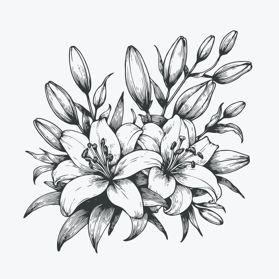 A black and white drawing of lilies, Abstract Flower Lily one line art drawing singular aesthetic minimalist , one line art, line art, icon, logo vector