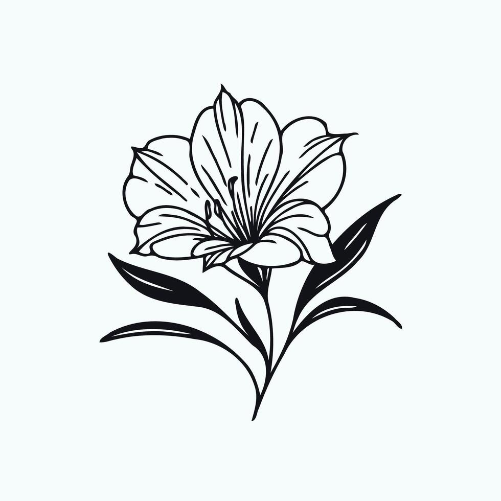A black and white drawing of a flower, bluebell. Hand painted flower. Graphic campanula isolated on background. Botanical and wedding illustration. For designers, invitations, decoration, postcards vector
