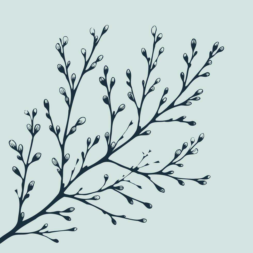 A branch with leaves and water droplets on it, Spring tree blossoming branch, spring flowers. Isolated on white background. Design for cards, invitations, posters. vector