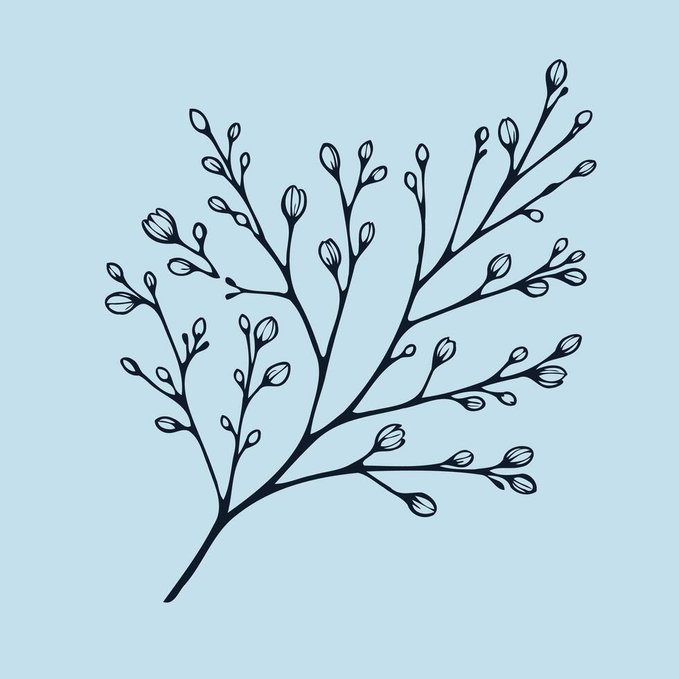 A branch with leaves on it is shown in this illustration, Spring tree blossoming branch, spring flowers. Isolated on white background. Design for cards, invitations, posters. vector