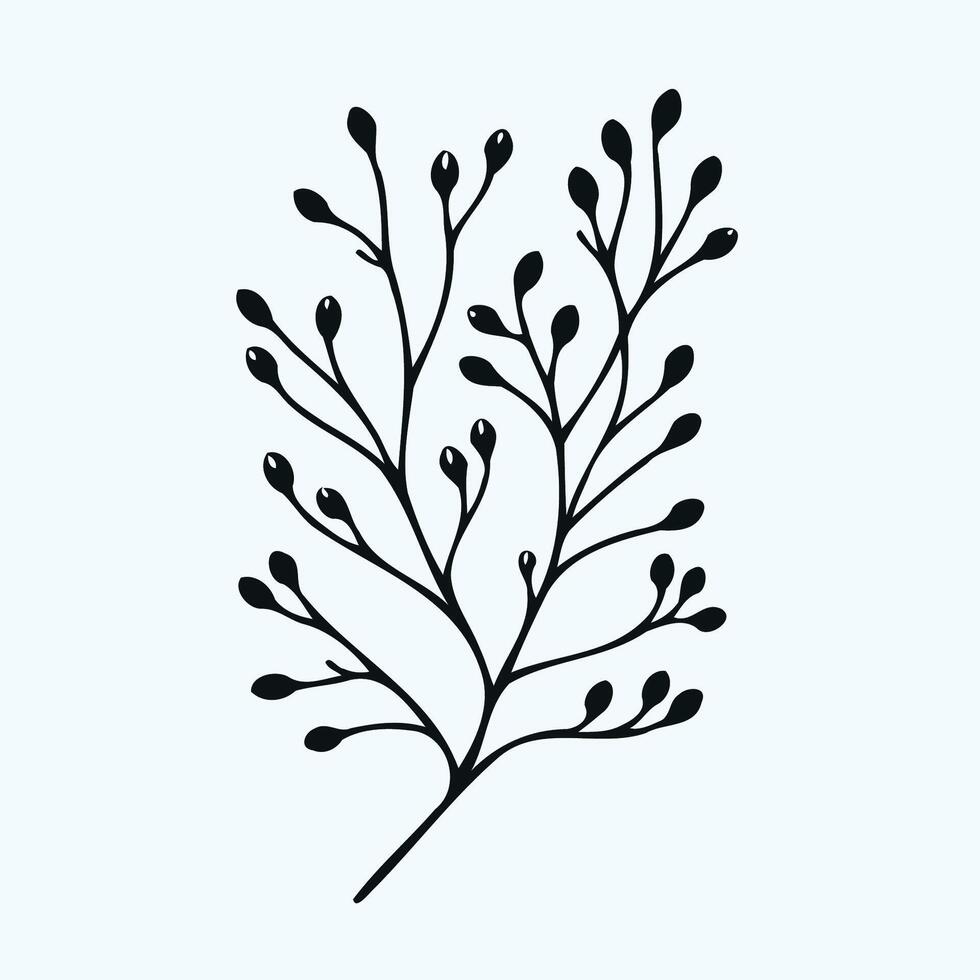 A black and white illustration of a branch with leaves, Hand drawn tree branches collection, dry tree branches on white background vector