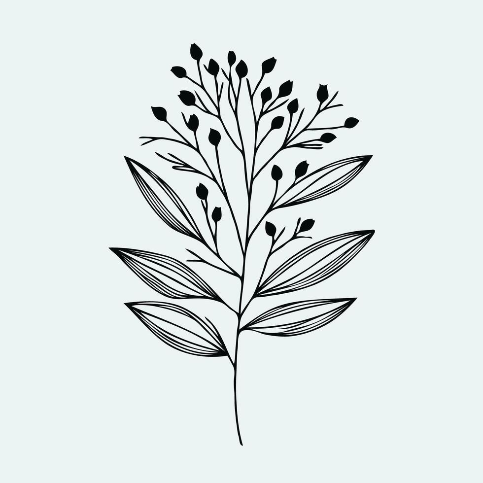 A black and white drawing of a plant with leaves, Doodle twigs set. Plants branches in a flat style - isolate on a white background. Floral elements for design vector
