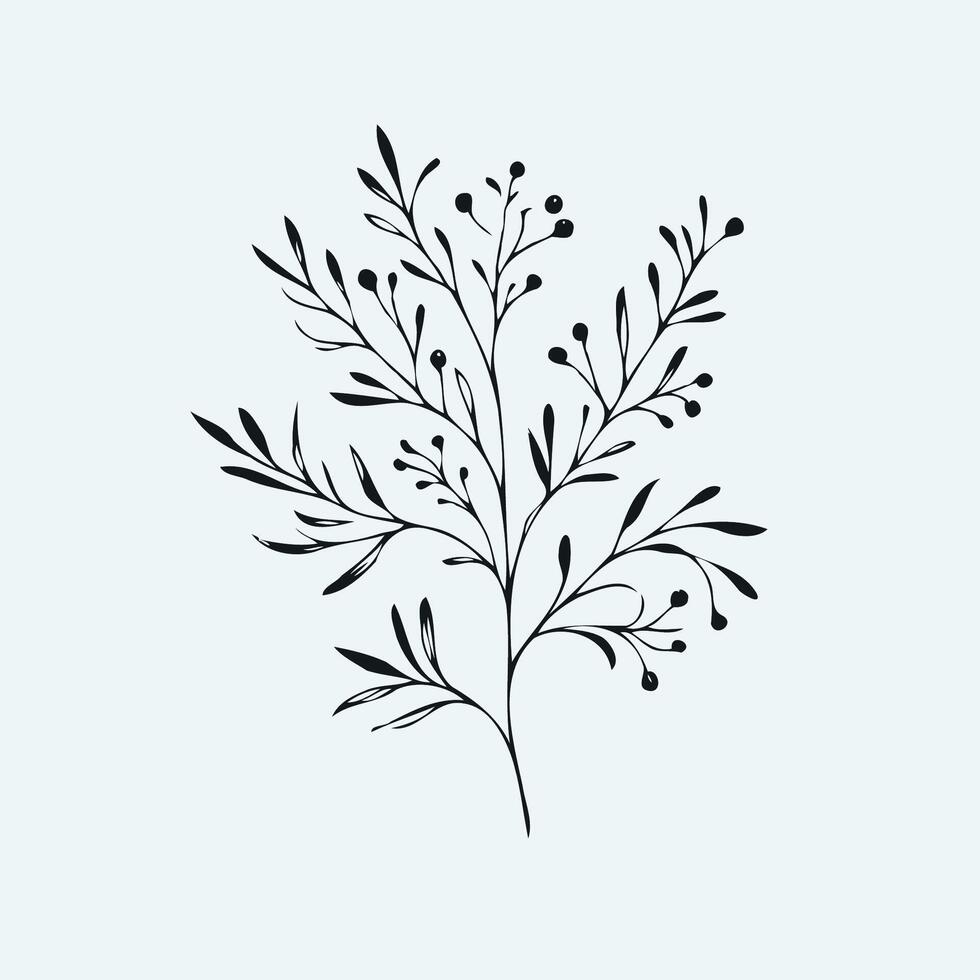 A black and white drawing of a branch with leaves, Set of tree branches, eucalyptus, leaves, herbs and flowers silhouettes vector