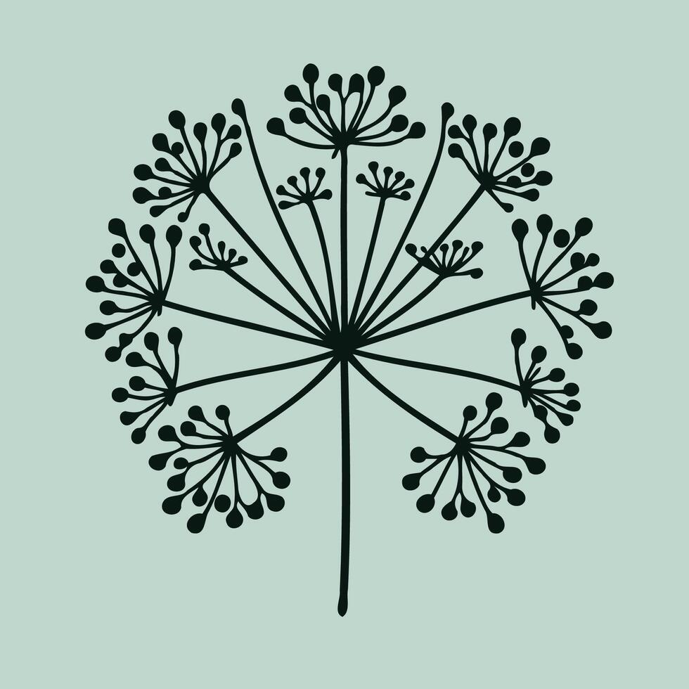 A black and white illustration of a plant with leaves, Queen Anne Lace flower outline illustration coloring book page design,Apiaceae, Umbelliferae flower black and white line art drawing vector