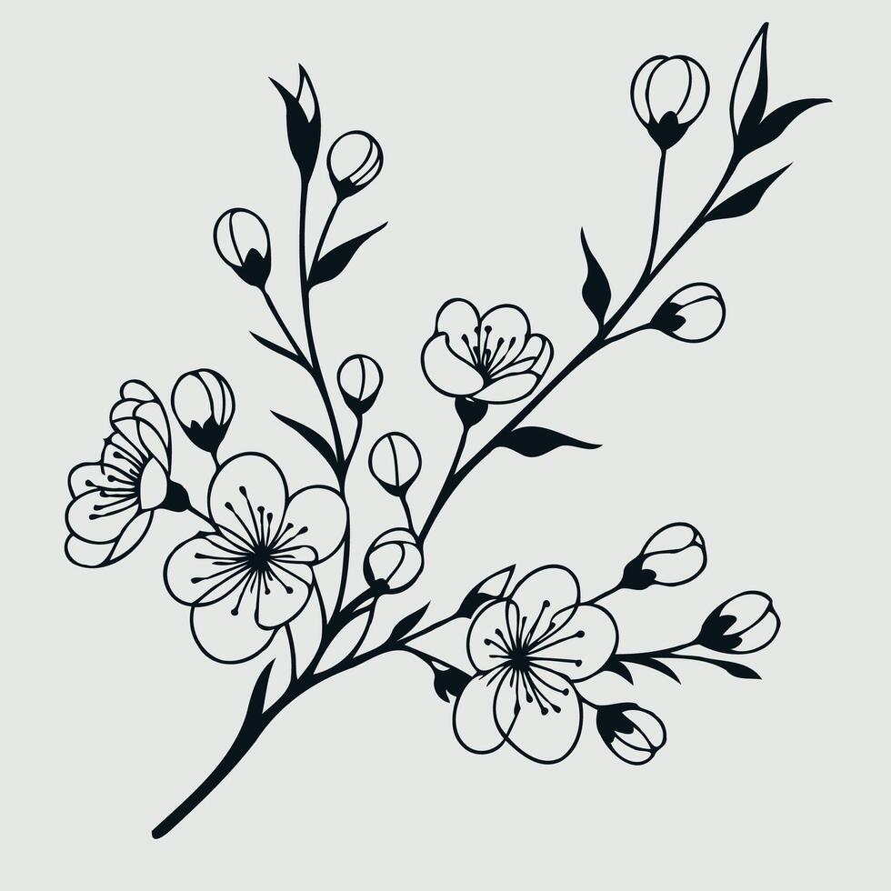 A black and white drawing of a branch with flowers, Hand-Drawn Pink Cherry Blossoms vector