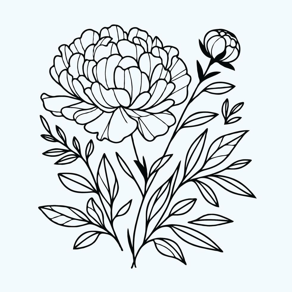 A black and white drawing of a flower vector