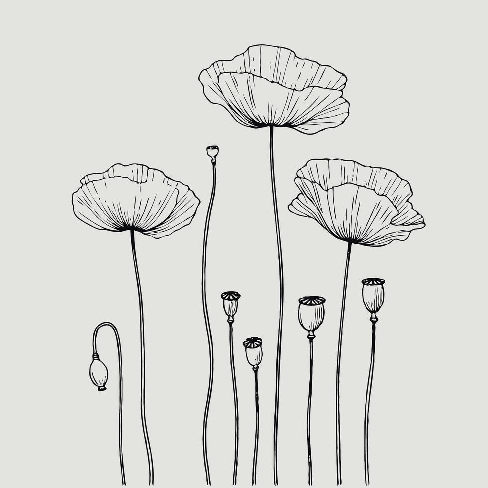 Adobe Illustrator Artwork, Illustration Plant, Including Various Elements Such as a Branch with Leaves and Flowers, a Cut in Half vector