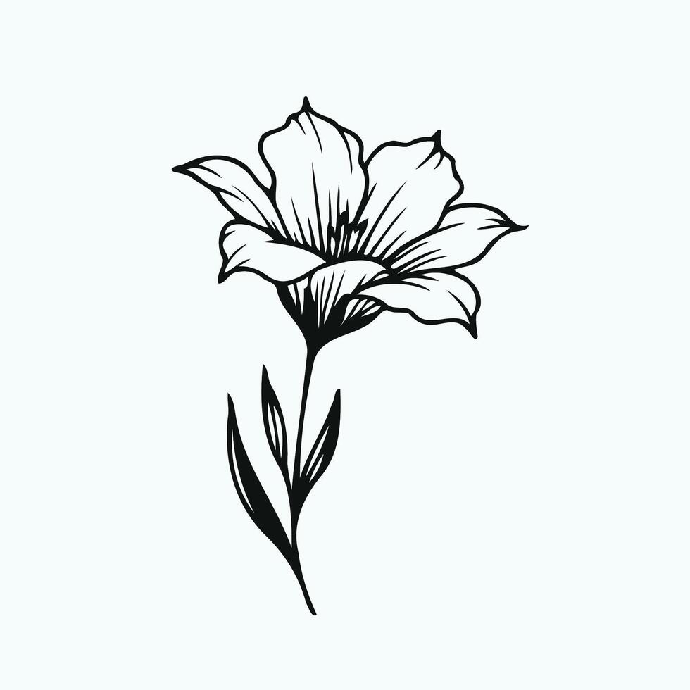 A black and white drawing of a flower, Bluebell flower and leaf hand drawn botanical illustration with line art. vector