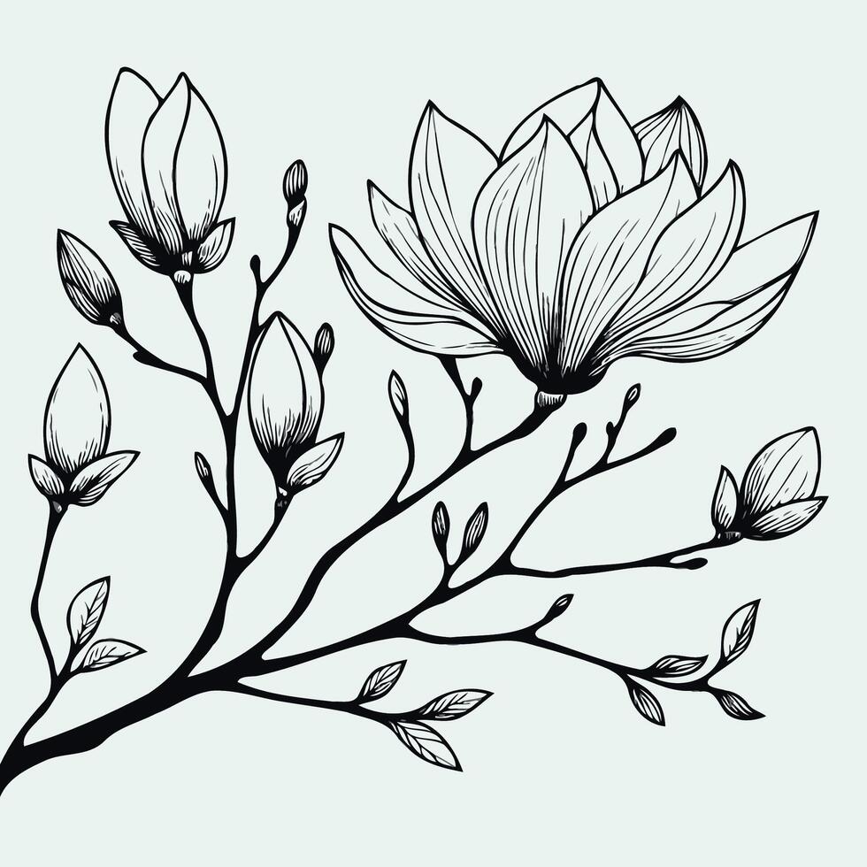 Adobe Illustrator Artwork set of contour floral line art of rose flowers, leaves black and white illustration set of doodle decorative elements of plants, hand drawn magnolia branch flowers, design vector