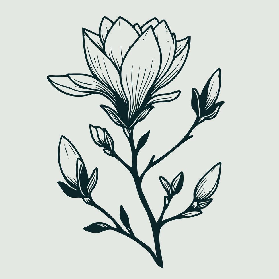 Adobe Illustrator Artwork. Set of leaves black and white silhouettes of leaves seamless pattern with leaves, magnolia branch close up, leaf patterns vector