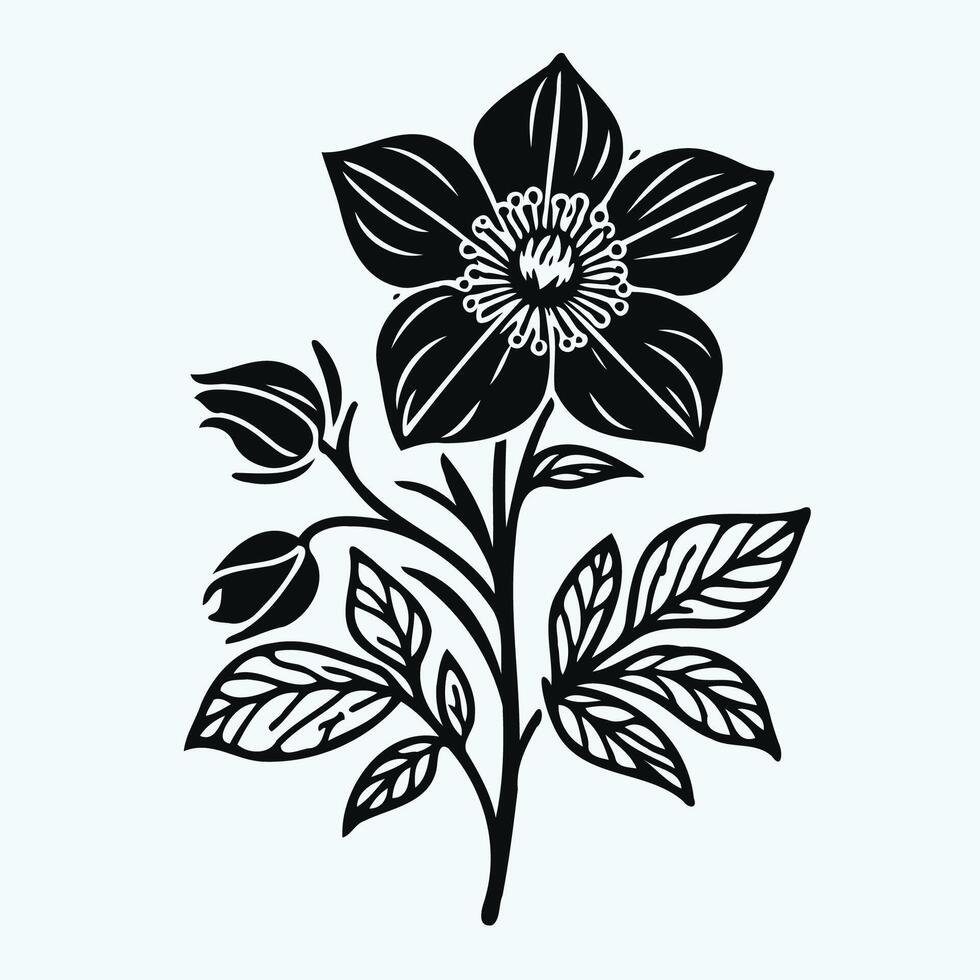 A black and white drawing of a flower hellebore vector