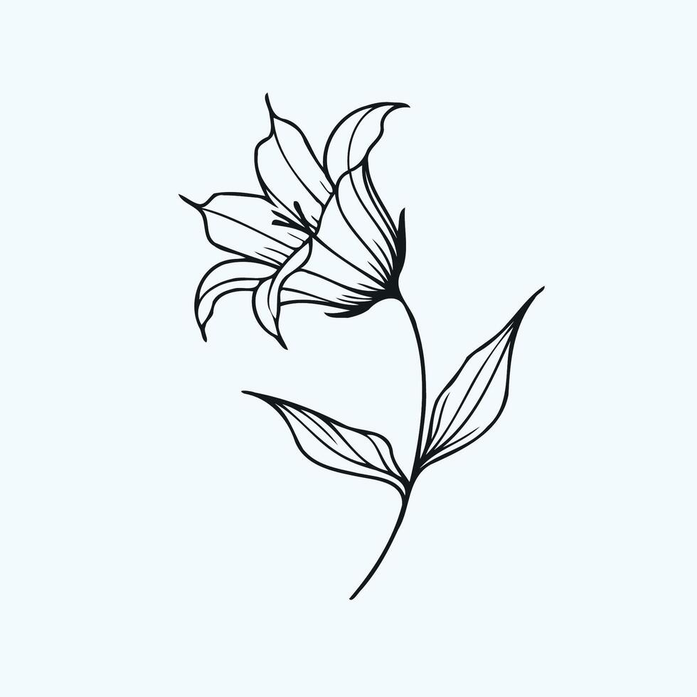 A black and white drawing of a flower, Bluebell flower and leaf hand drawn botanical illustration with line art. vector