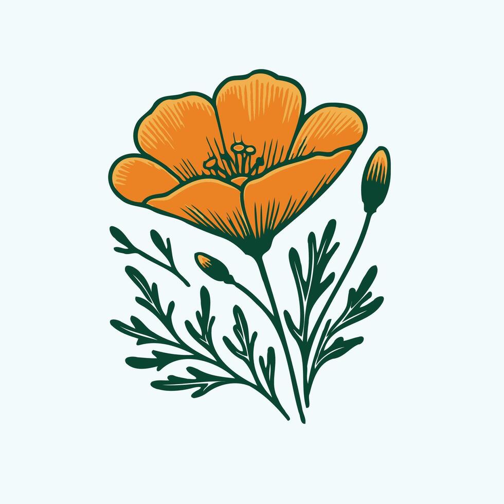 Adobe Illustrator Artwork, eustoma line art floral, leaves black and white illustration lisianthus set of decorative elements of plants Eschscholzia, botanical illustrations, decorative designs. vector