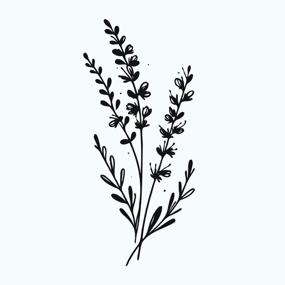 A black and white drawing of a plant with leaves vector