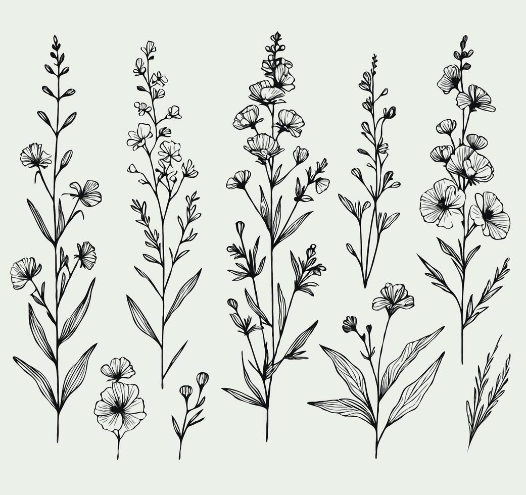 A set of flowers drawn in black and white, Set abstract elegant line art flower and leaf. Continuous boho line art silhouette of floral artwork vector