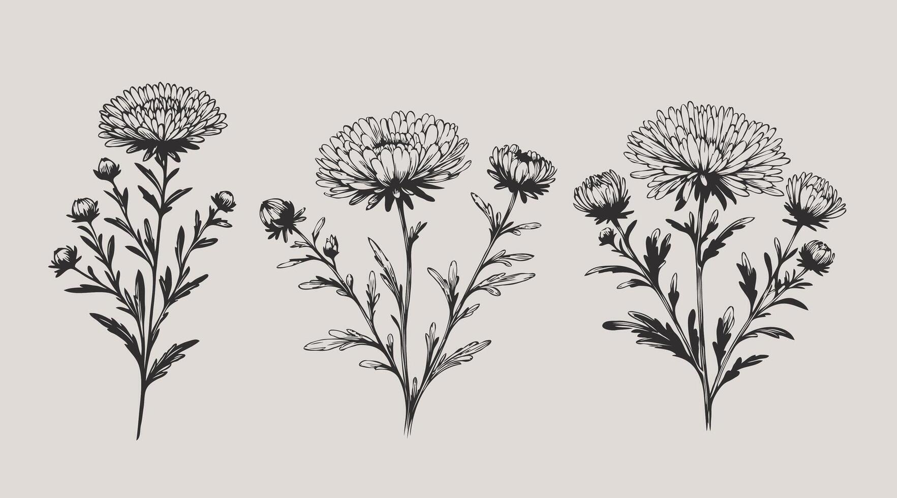 Three different types of flowers are shown in this drawing, Set abstract elegant line art flower and leaf. Continuous boho line art silhouette of floral artwork vector