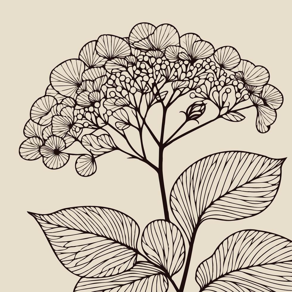 A drawing of a flower with leaves and leaves, Illustration Plant, Including Various Elements Such as a Branch with Leaves and Flowers, a Cut in Half vector