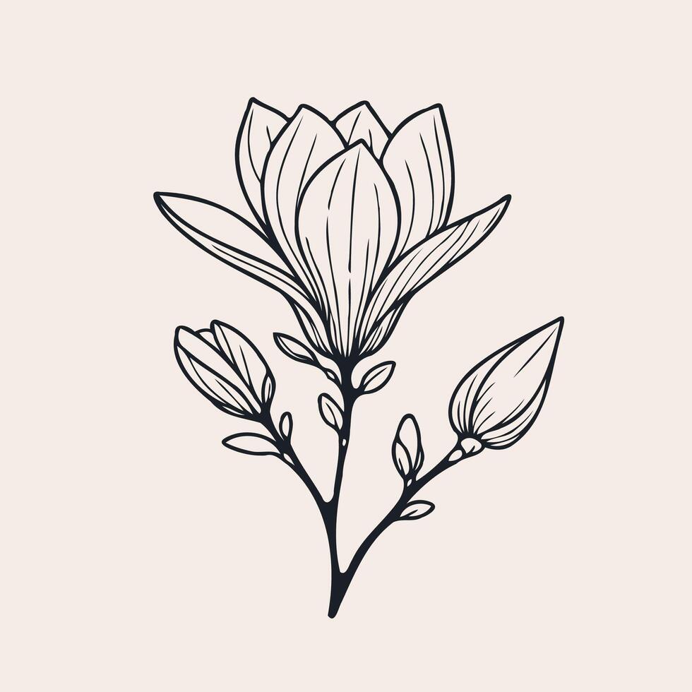 Adobe Illustrator Artwork. Set of leaves black and white silhouettes of leaves seamless pattern with leaves, magnolia branch close up, leaf patterns vector