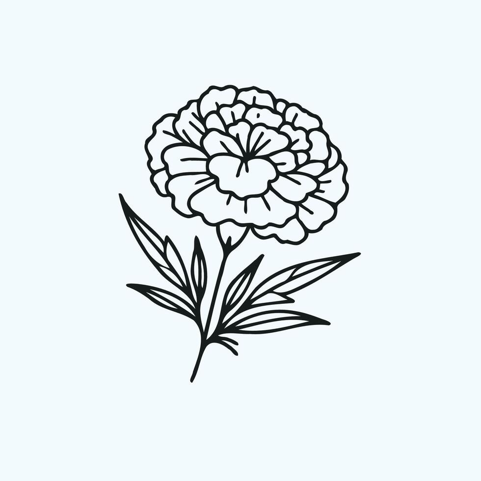 A black and white drawing of a flower, Hand-drawn marigold flower bouquet sketch illustration engraved ink art botanical leaf branch collection isolated on white background coloring page and books vector