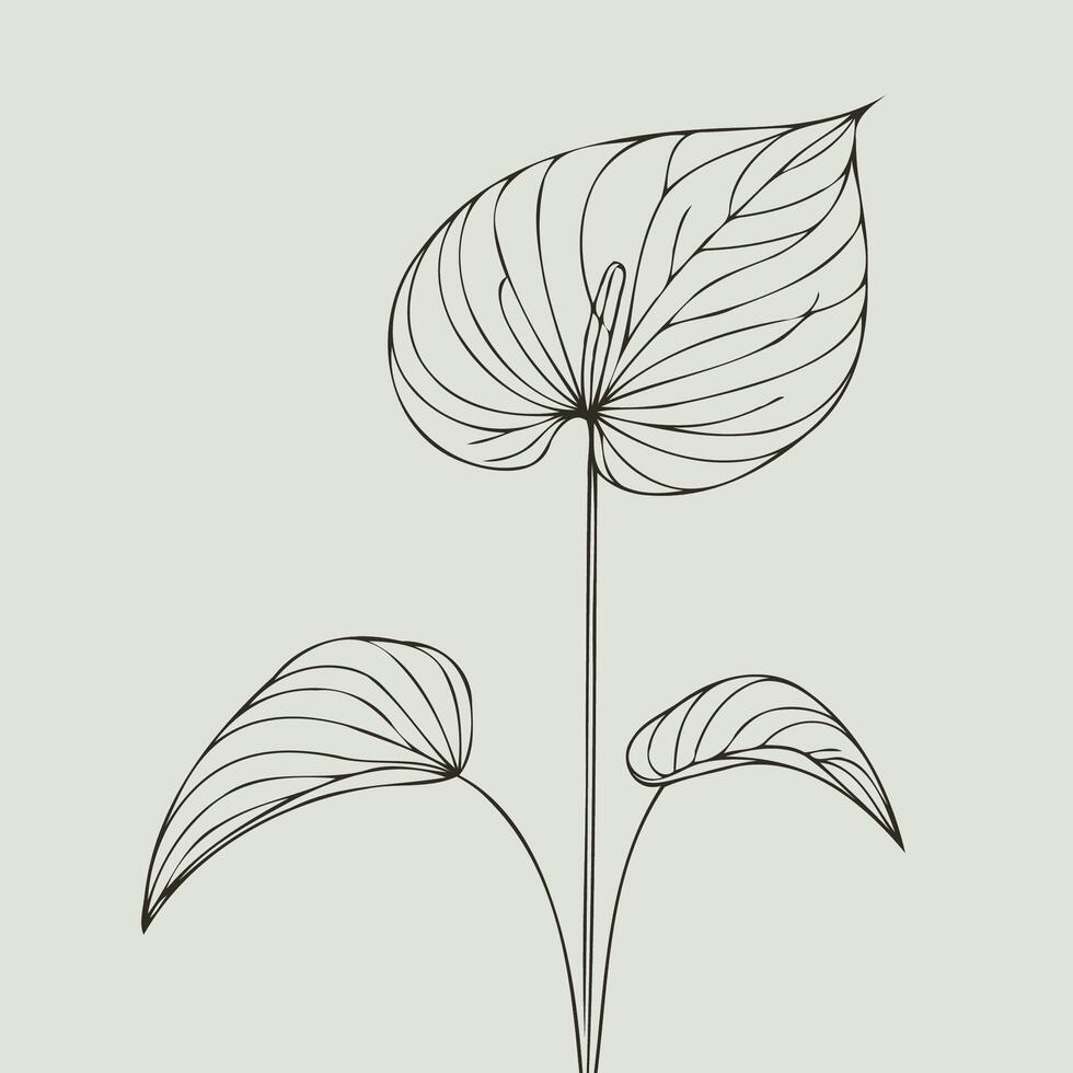 A drawing of a plant with leaves, Line Art of Flowers, Leaves vector