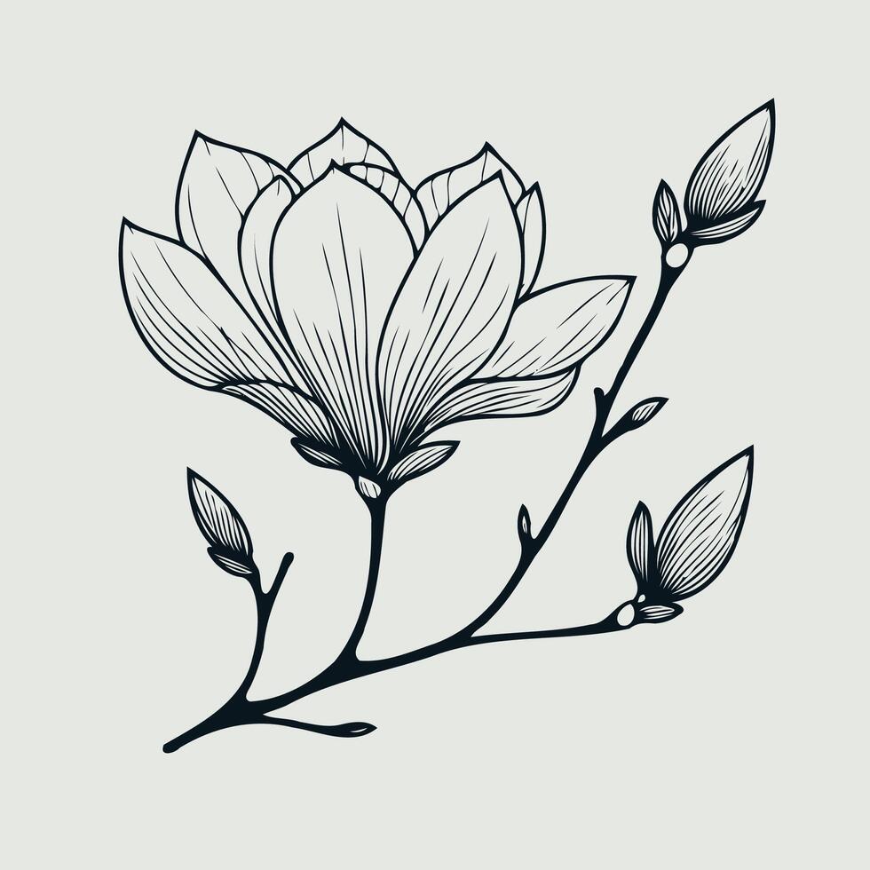 Adobe Illustrator Artwork set of contour floral line art of rose flowers, leaves black and white illustration set of doodle decorative elements of plants, hand drawn magnolia branch flowers, design vector