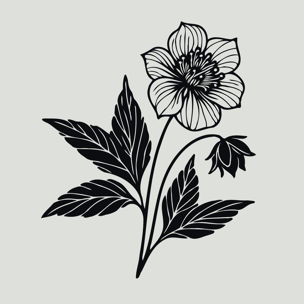 A black and white drawing of a flower, Illustration Plant, Including Various Elements Such as a Branch with Leaves and Flowers, a Cut in Half vector