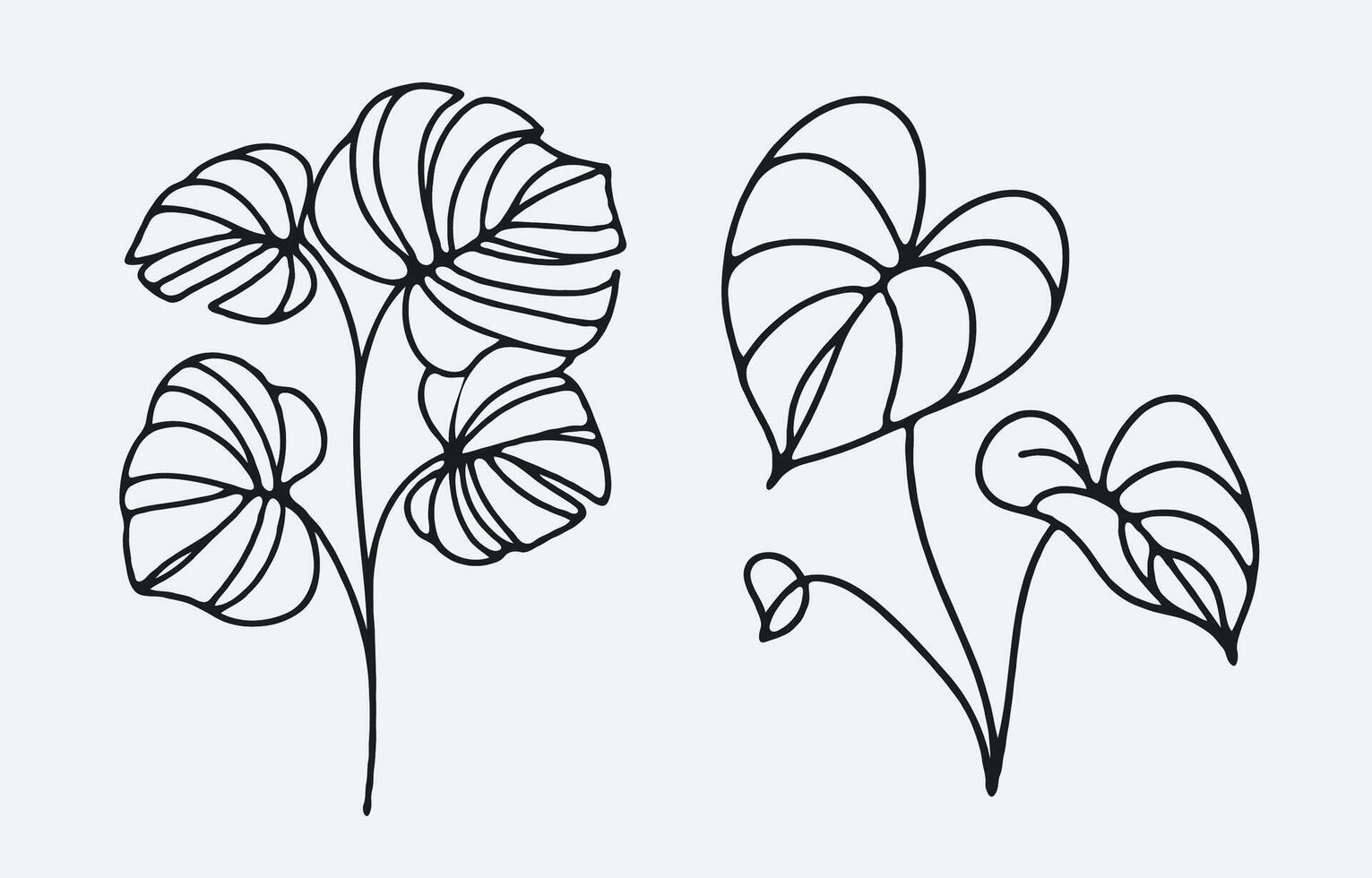 Two plants with leaves in a line drawing, Simple Line Art, Design Elements For Cards, Invitations, Banners, Posters, Logo vector