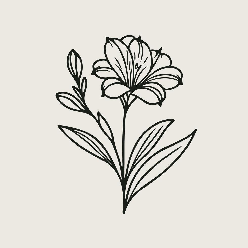 A black and white drawing of a flower, Detailed Flowers With Leaves And Buds. Hand Drawn vector