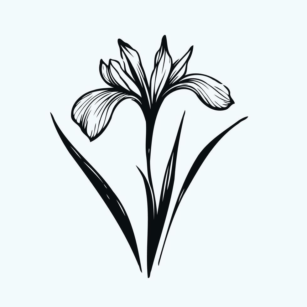 Adobe Illustrator Artwork. Beautiful hand drawn meadow flowers, design elements. Can be used for cards, invitations, banners, posters, logo, print design. Floral background in line art style iris. vector
