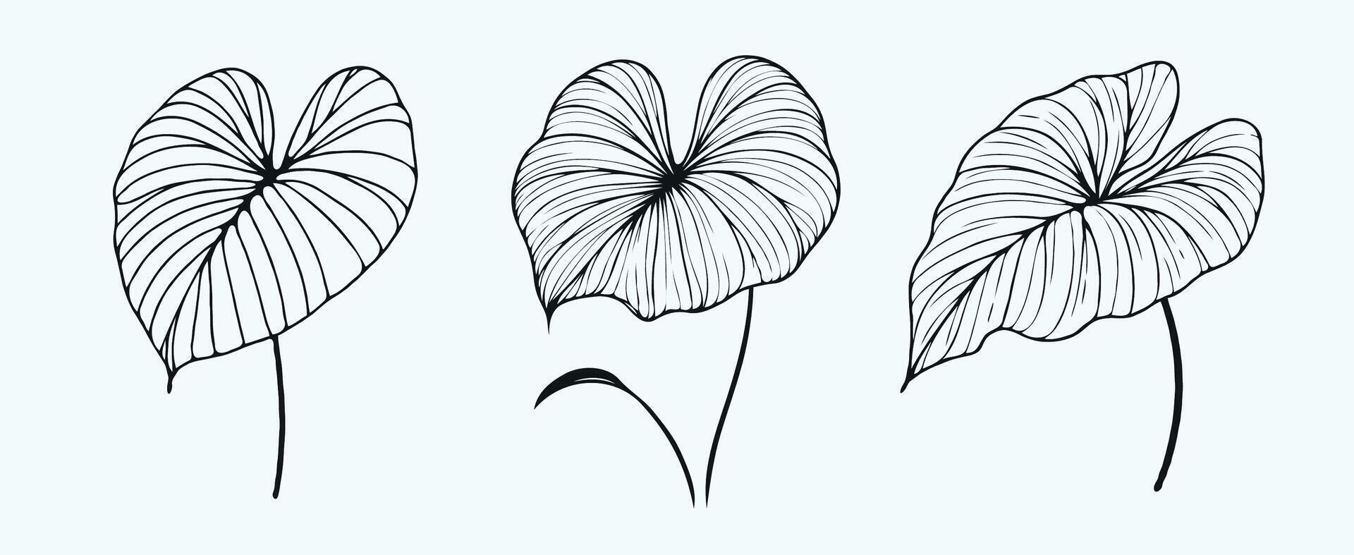 Adobe Illustrator Artwork, leaf abstract, leave, drawing plant illustration, leaves set vector
