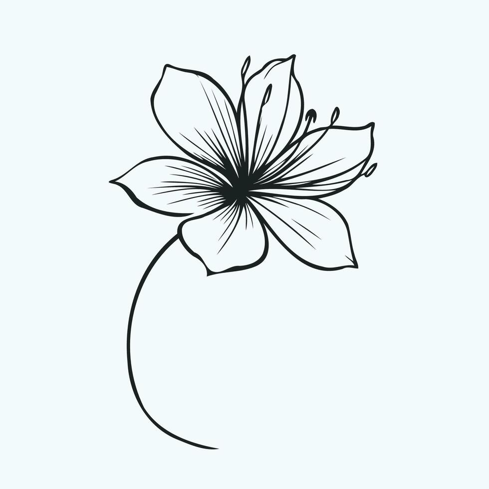 A black and white drawing of a flower vector