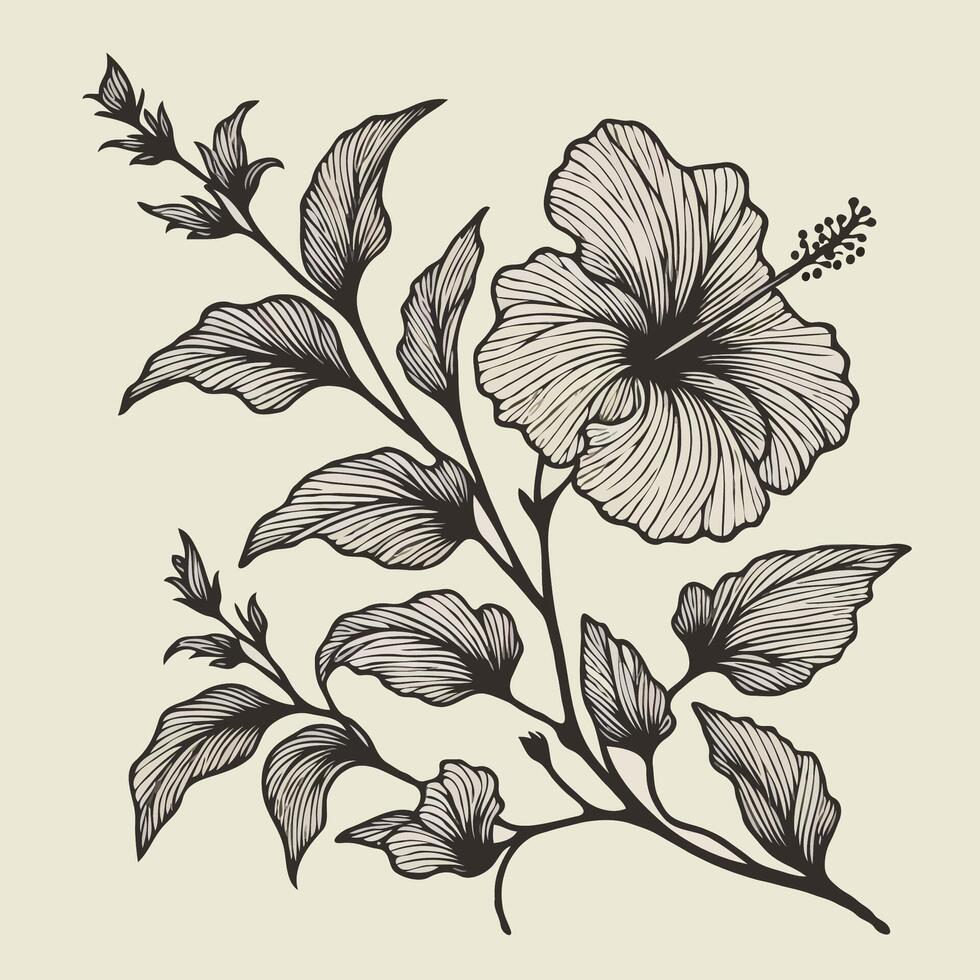 Adobe Illustrator Artwork. Hibiscus flower icon, contour flowers hibiscus line art floral, leaves black and white illustration Chinese rose set of decorative elements of plants stylized vector