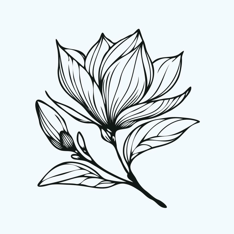 Adobe Illustrator Artwork, set of contour spring flowers hibiscus line art floral, leaves black and white illustration Chinese rose set of decorative elements of plants stylized vector