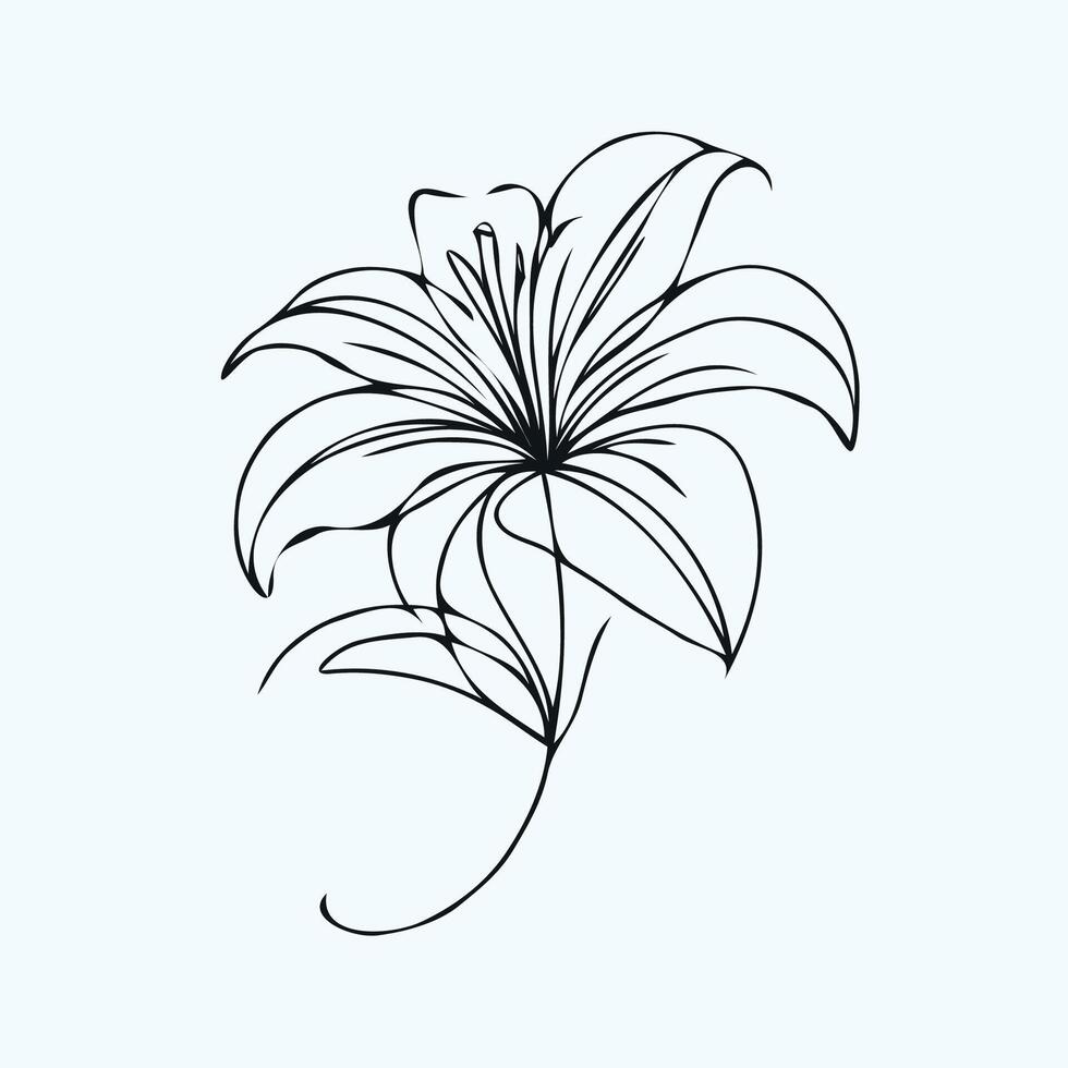 A black and white drawing of a lily, minimalistic, stylized, Hand-Drawn Black-and-White Line Art vector