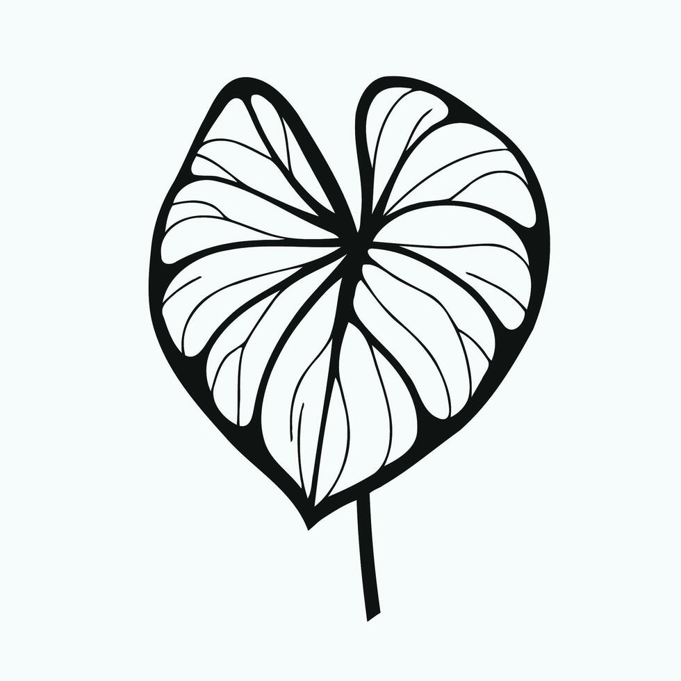 A black and white drawing of a leaf, Tropical leaves set, monstera, fern, Botanical and Jungle leaves design for nature background, Eco and summer banner, wallpaper, pattern vector