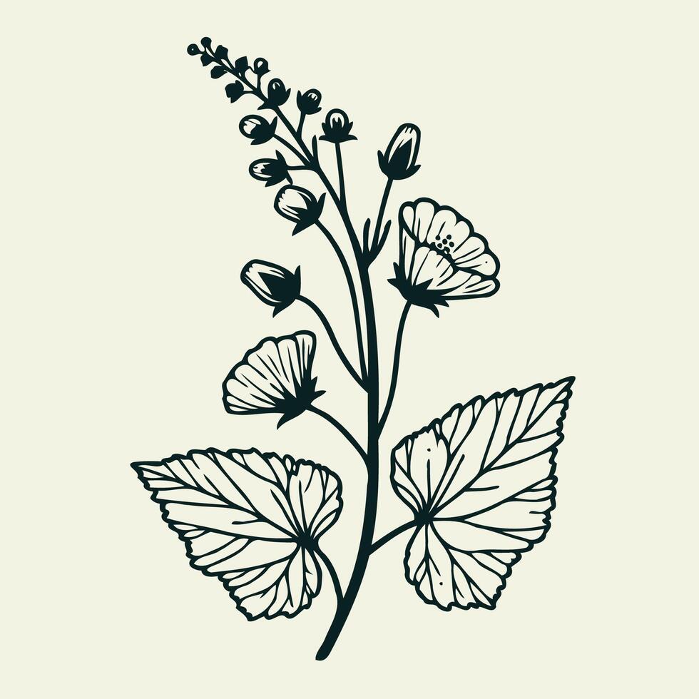 A black and white drawing of a plant with leaves, Detailed Flowers With Leaves And Buds. Hand Drawn vector
