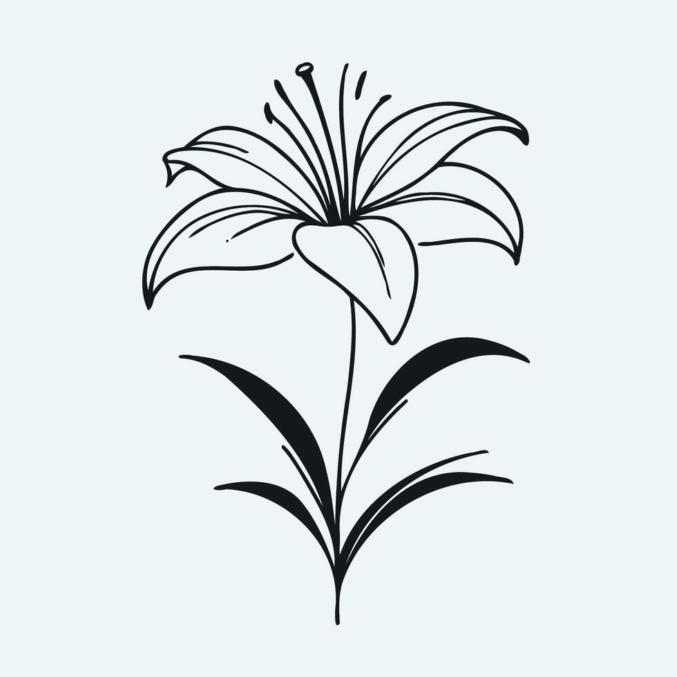 A black and white drawing of a lily vector