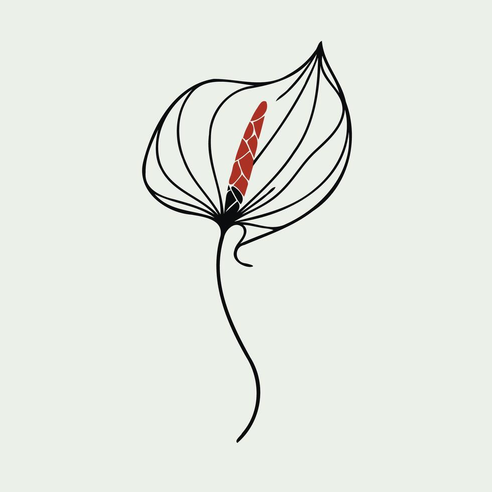 Adobe Illustrator Artwork. Set of hand drawn doodle leaves, flower. Black and white decorative elements Anthurium, Alocasia, Spathiphyllum. vector