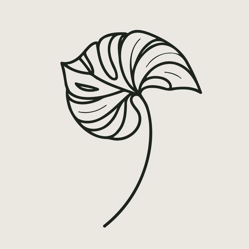 A black and white drawing of a leaf, Monstera leaf isolated on white background. Tropical leaves, banana leaves, monstera, fern, Botanical and Jungle leaves design for nature background vector