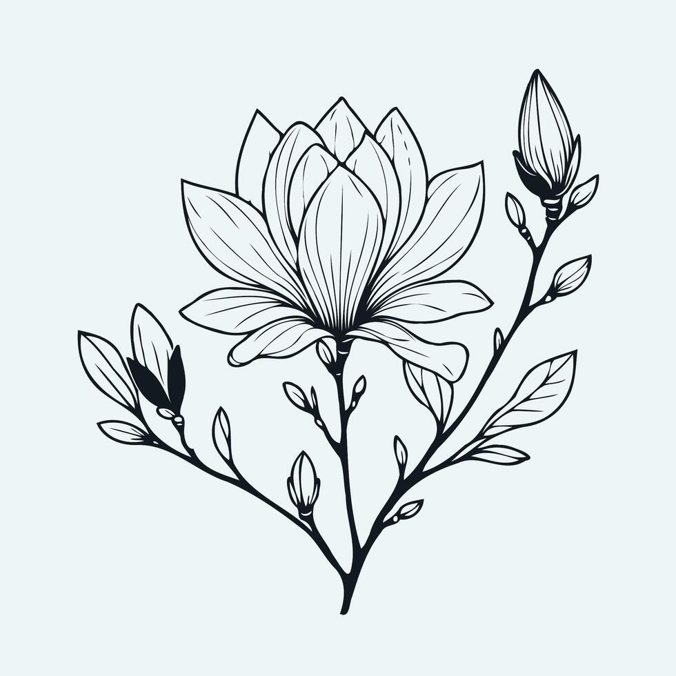 Adobe Illustrator Artwork, magnolia branch close up, hand drawn meadow flowers, doodle decorative elements. Floral background in line art style magnolia tree vector