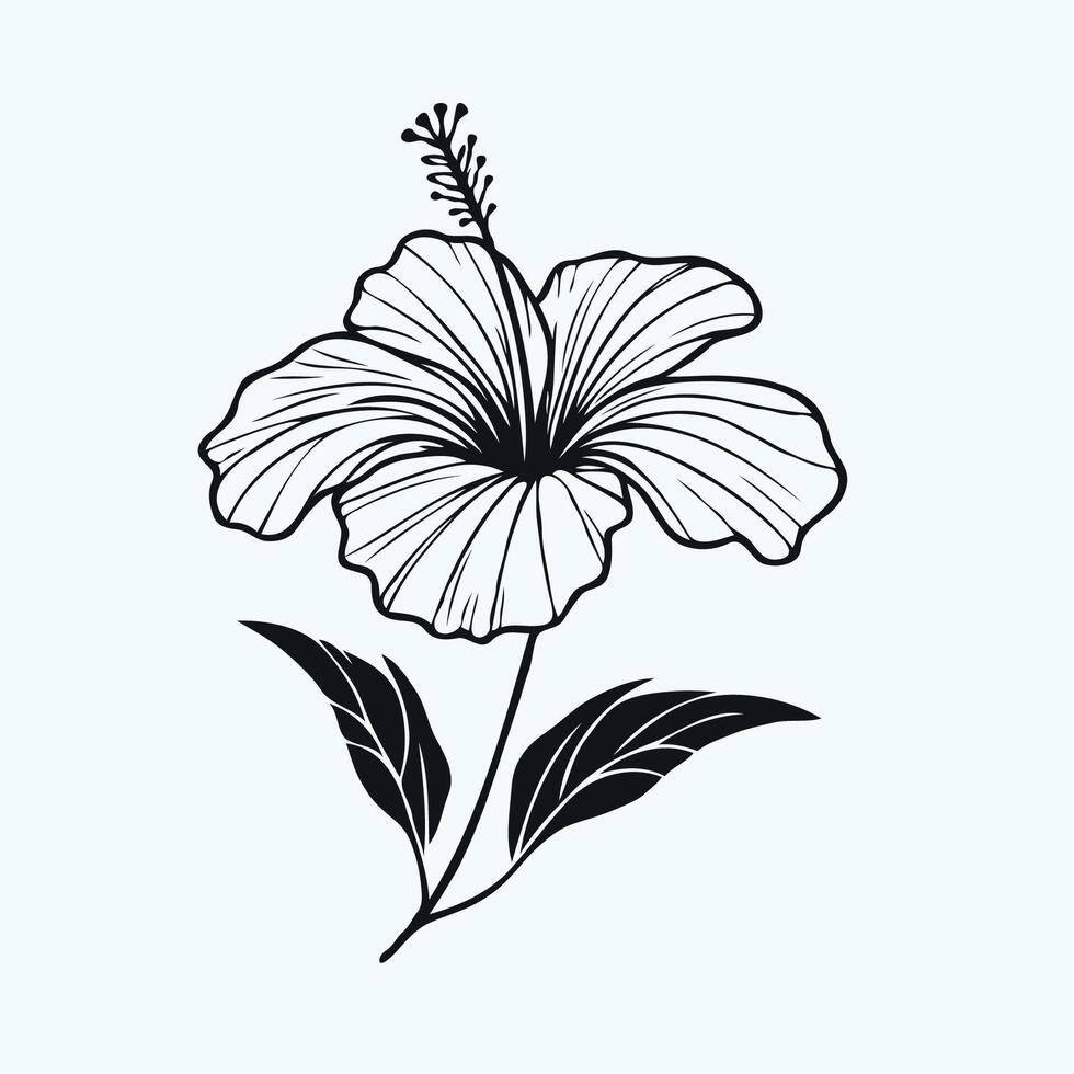 Adobe Illustrator Artwork. Red Hibiscus blooming flower with hand drawn style. Flat design. Chinese rose illustration. vector