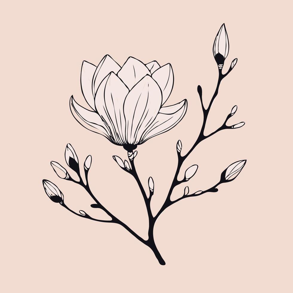 Adobe Illustrator Artwork, magnolia branch close up, hand drawn meadow flowers, doodle decorative elements. Floral background in line art style magnolia tree vector