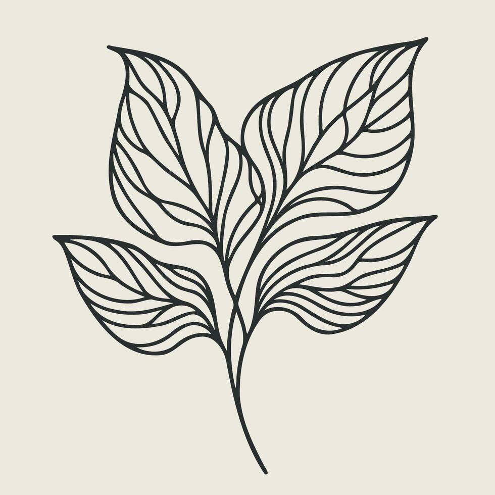 A leaf with a line drawing of it, set with branches and tea leaves. Hand drawn graphics, tea leaves. Design and decoration vector