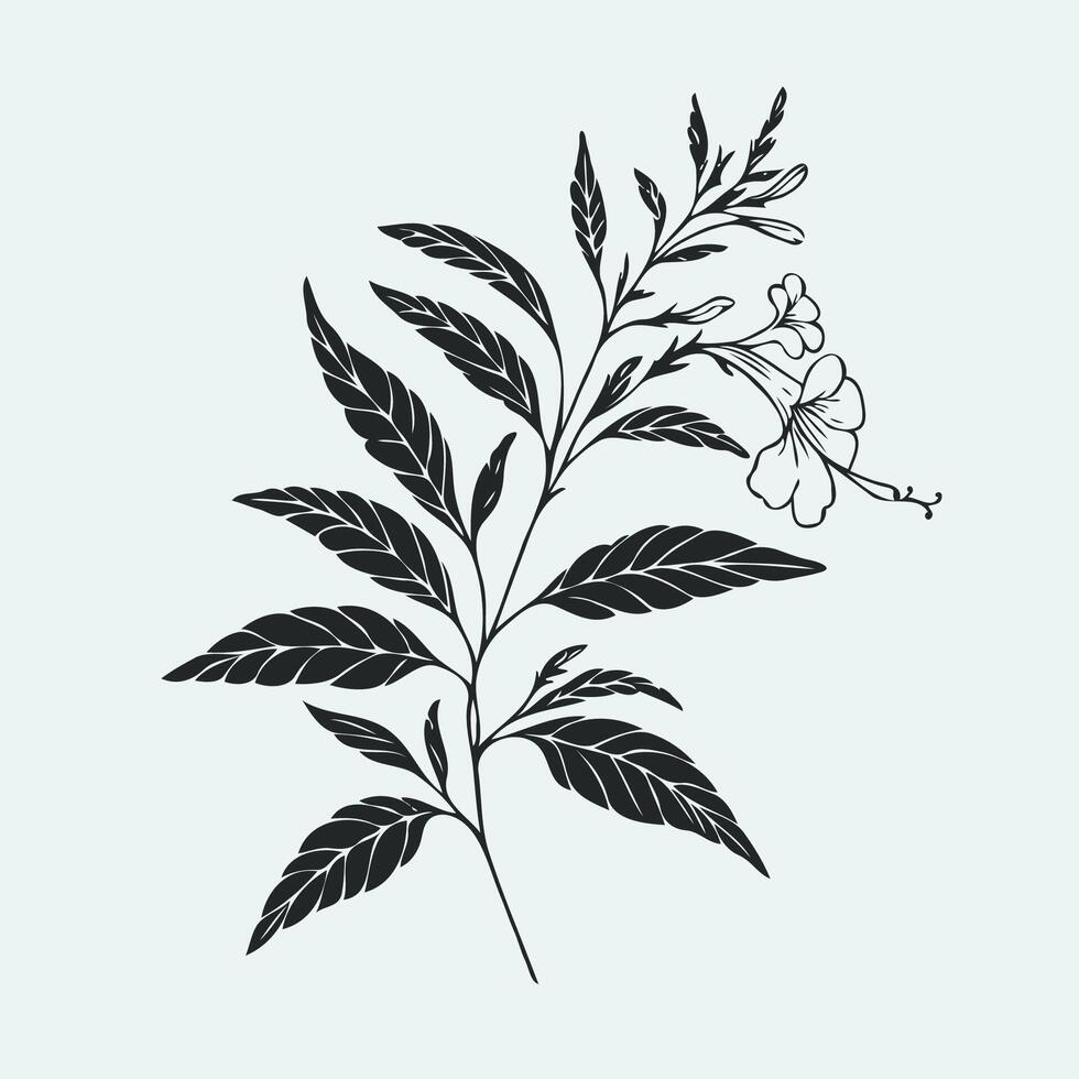 A black and white drawing of a flower, set with branches and tea leaves. Hand drawn graphics, tea leaves. Design and decoration vector