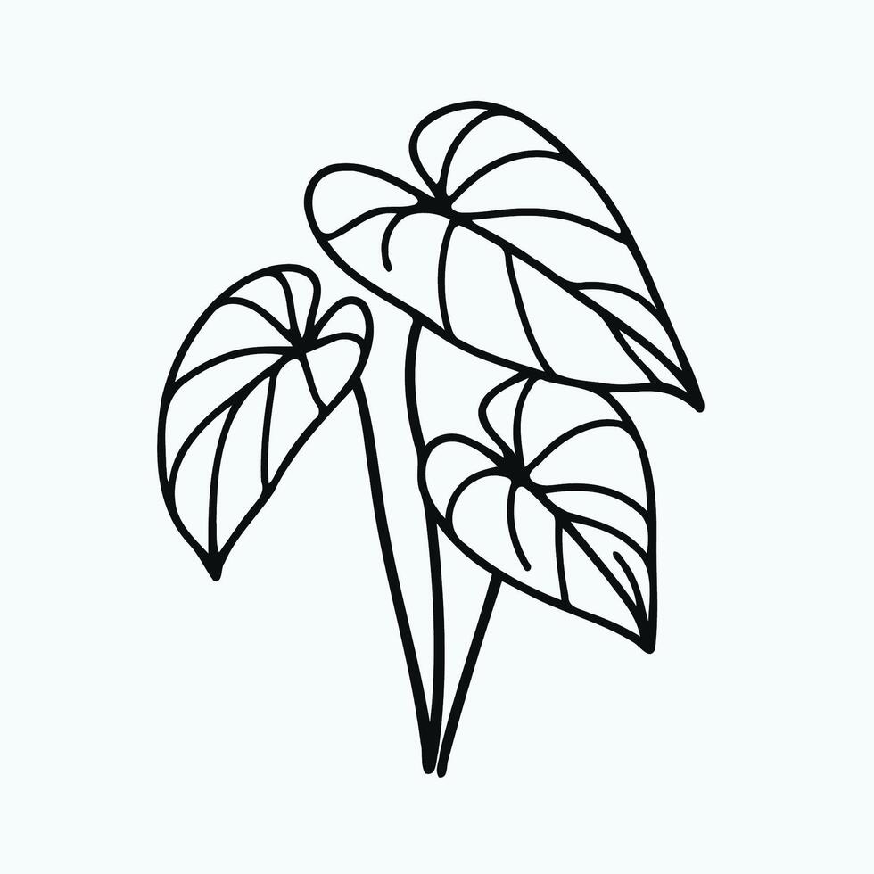 A line drawing of a plant with leaves, Tropical leaves set. Palm leaf, coconut leaf, banana leaves, monstera, fern, Botanical and Jungle leaves design for nature background vector